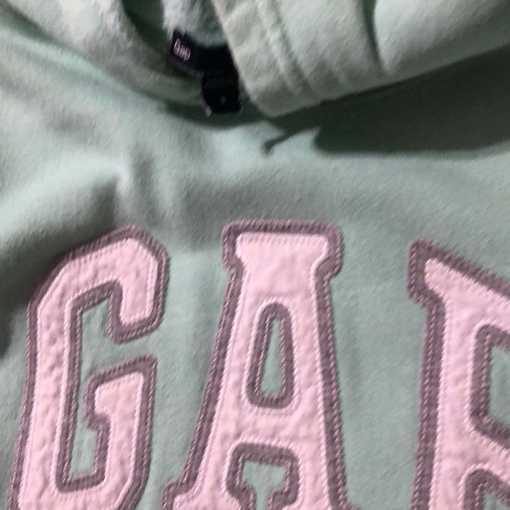 Gap hoodie.